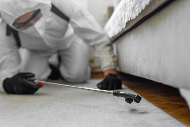 Professional Termite Control technician working in Ladd, IL
