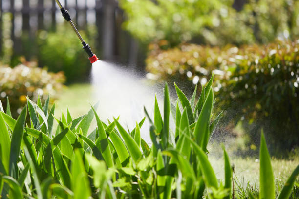 24/7 Emergency Termite Control experts in Ladd, IL