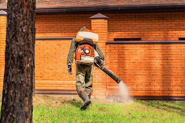 Top rated local Termite Control specialists in Ladd, IL